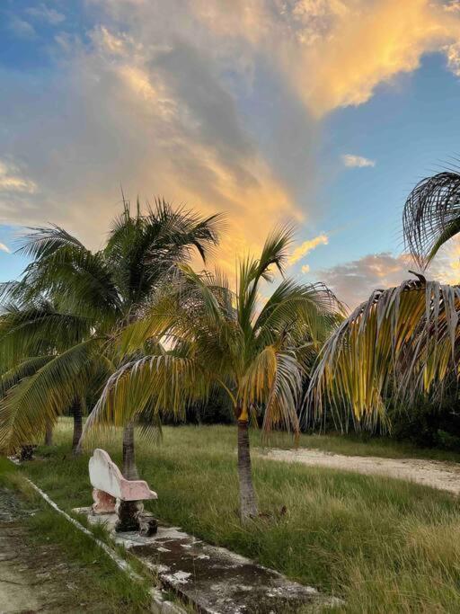 Сasa de vacaciones Casa Cebra By The - Playa Del Nino Cancún